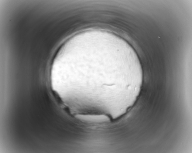 X0000088131522200706041310