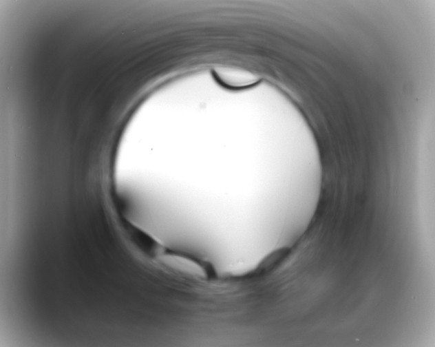 X0000088131523200706041310