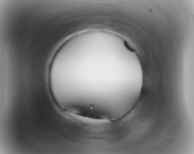 X0000088131527200706041310