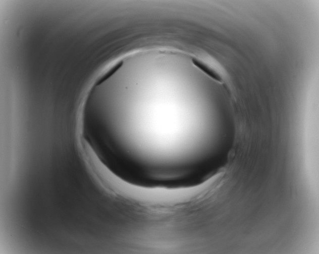 X0000088131528200706041310