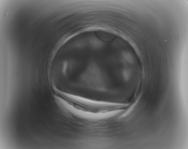 X0000088131529200706041310