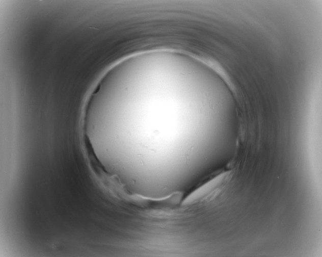 X0000088131532200706041310