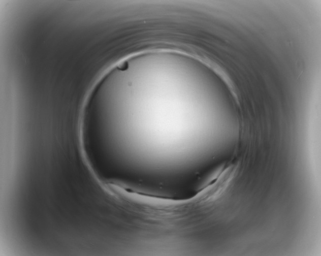 X0000088131533200706041310