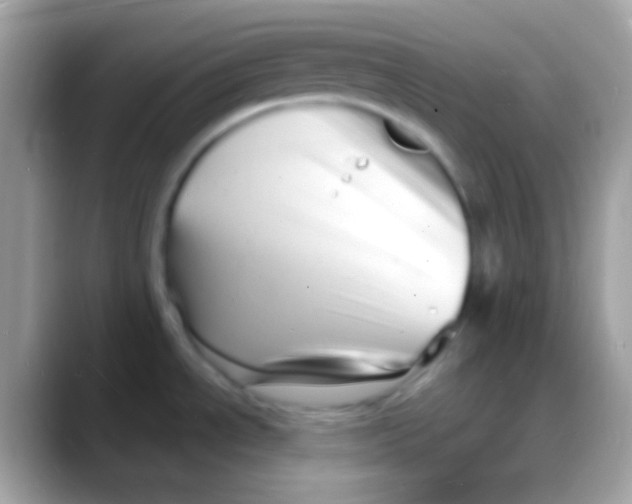 X0000088131534200706041310