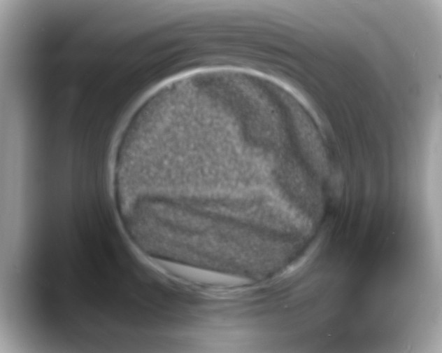 X0000088131535200706041310