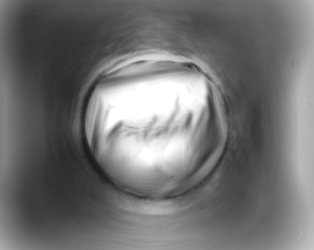 X0000088130008200706041958