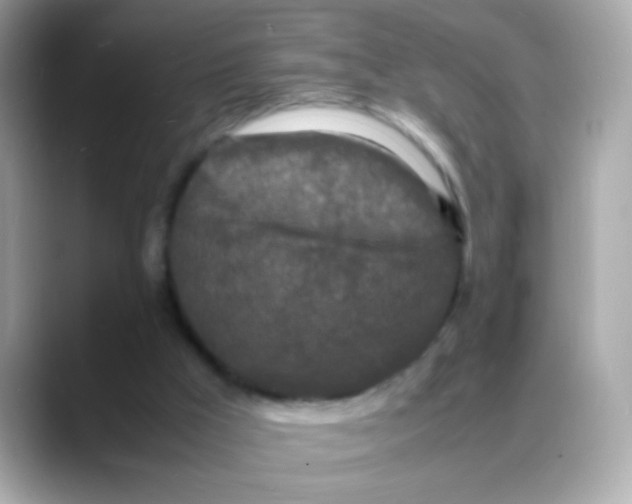 X0000088130009200706041958