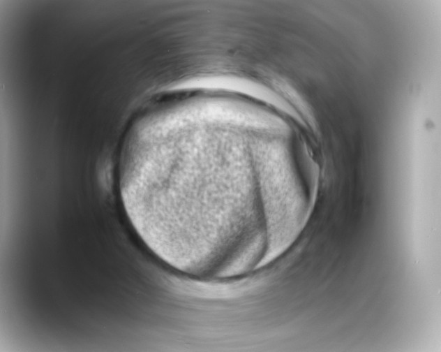 X0000088130010200706041958