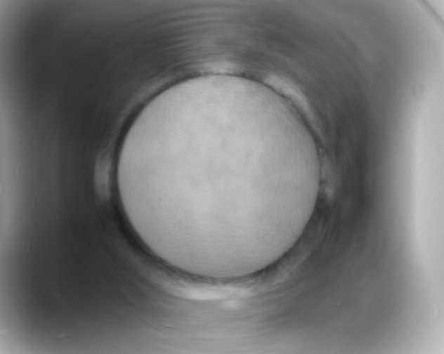 X0000088130012200706041958