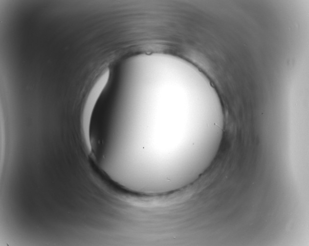 X0000088130013200706041958