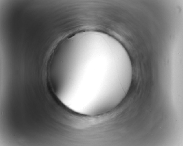 X0000088130015200706041958