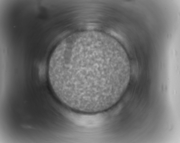 X0000088130016200706041958