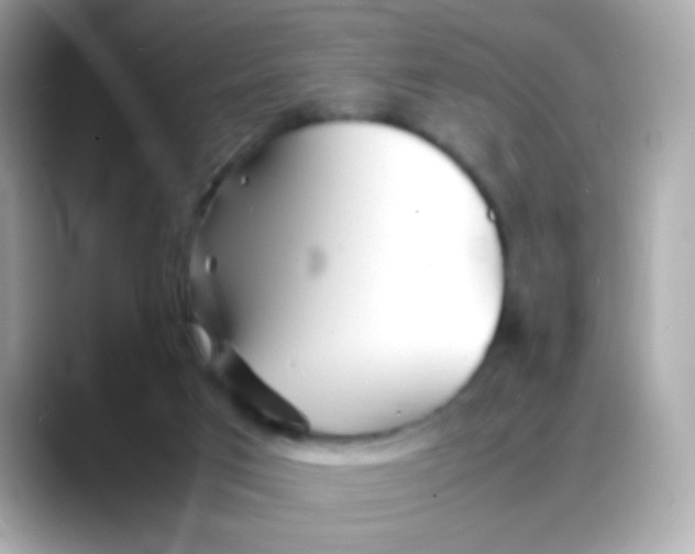 X0000088130017200706041958