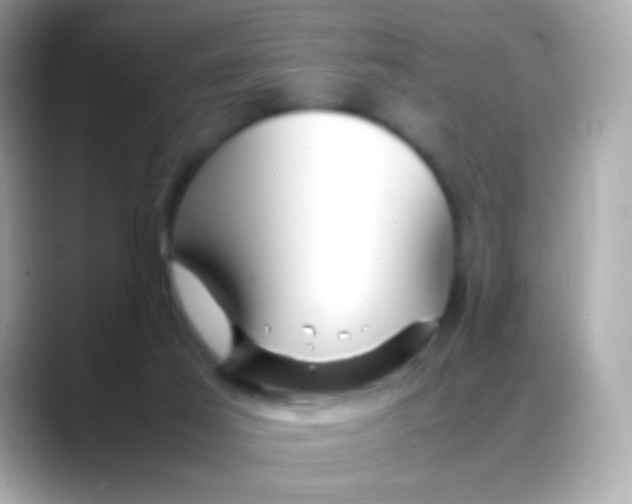 X0000088130021200706041958