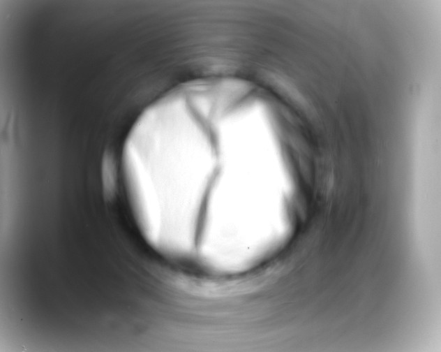 X0000088130022200706041958