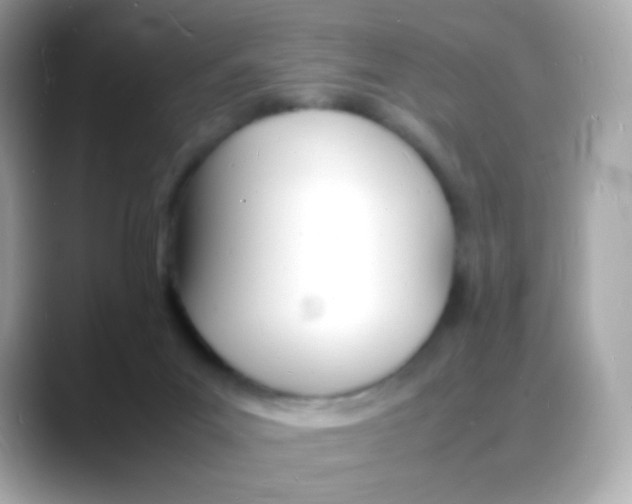 X0000088130023200706041958