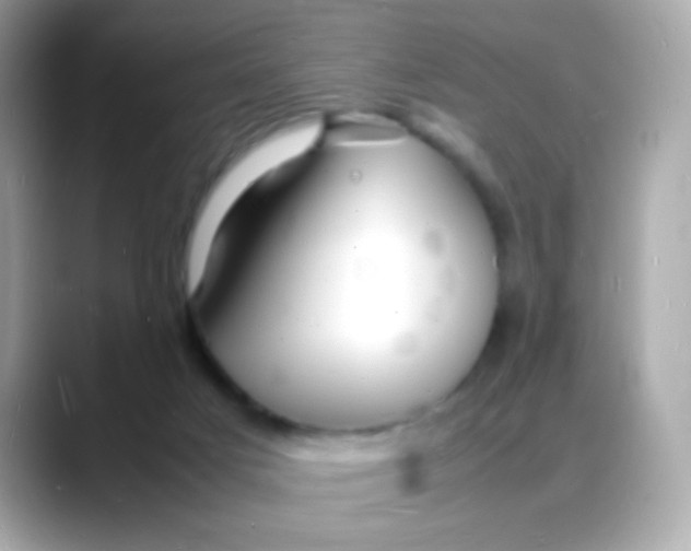 X0000088130025200706041958