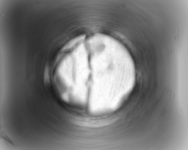 X0000088130026200706041958