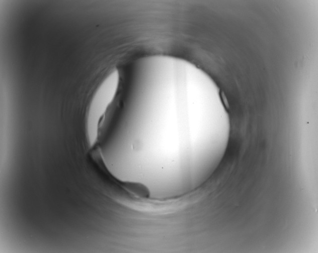 X0000088130027200706041958