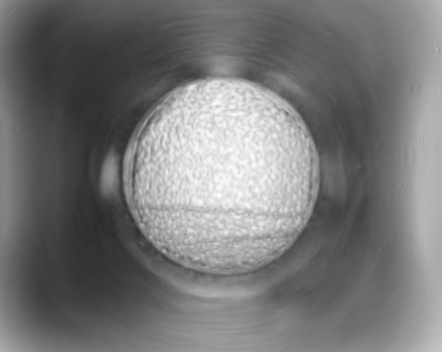 X0000088130028200706041958