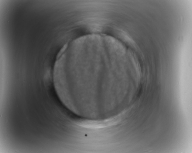 X0000088130029200706041957