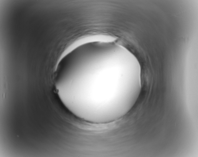 X0000088130031200706041957