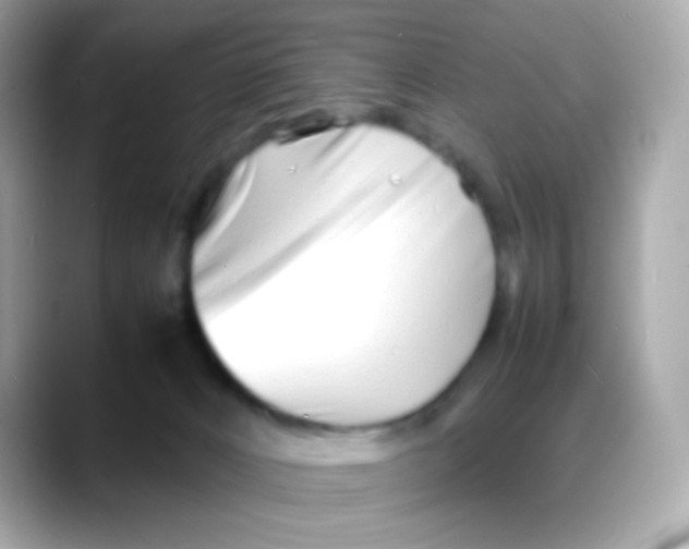 X0000088130032200706041957