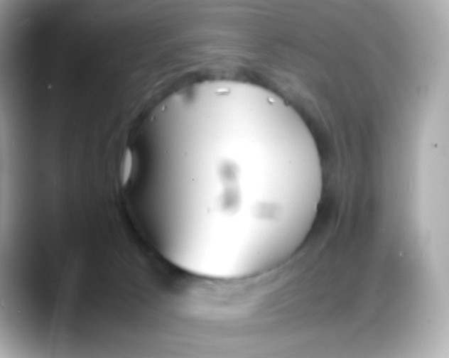 X0000088130033200706041957