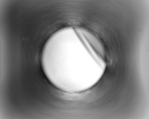 X0000088130034200706041957