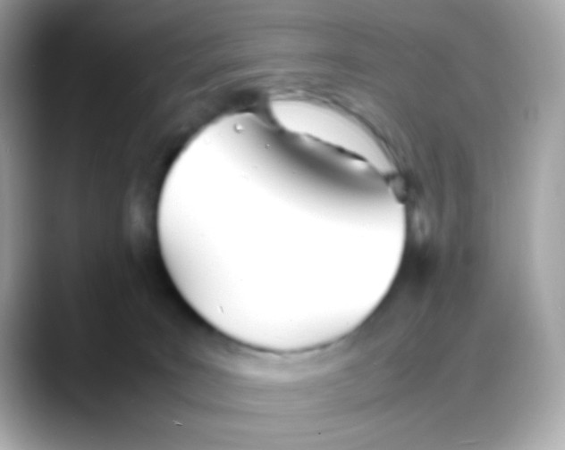 X0000088130035200706041957