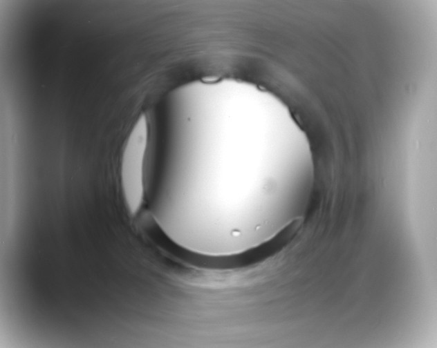 X0000088130037200706041957