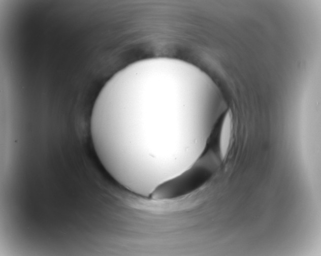 X0000088130039200706041957