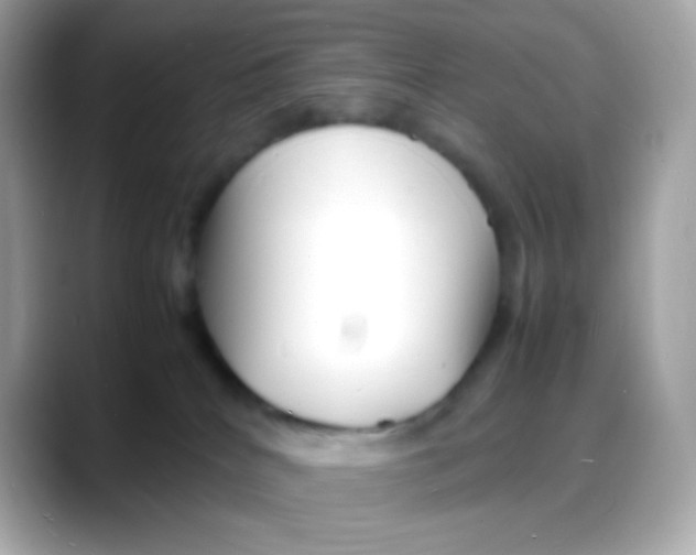 X0000088130040200706041957