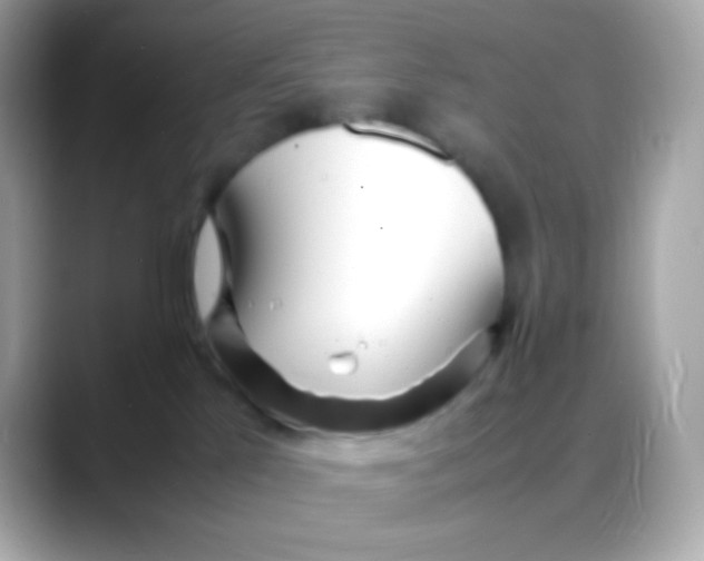 X0000088130041200706041957