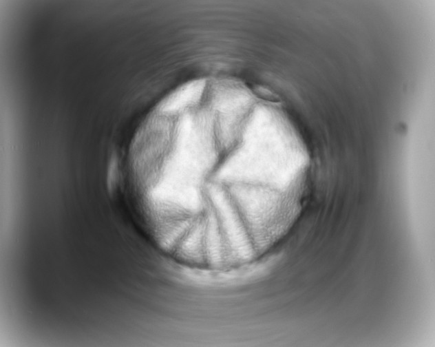 X0000088130042200706041957