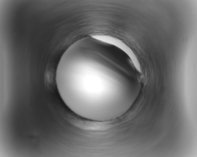 X0000088130044200706041957