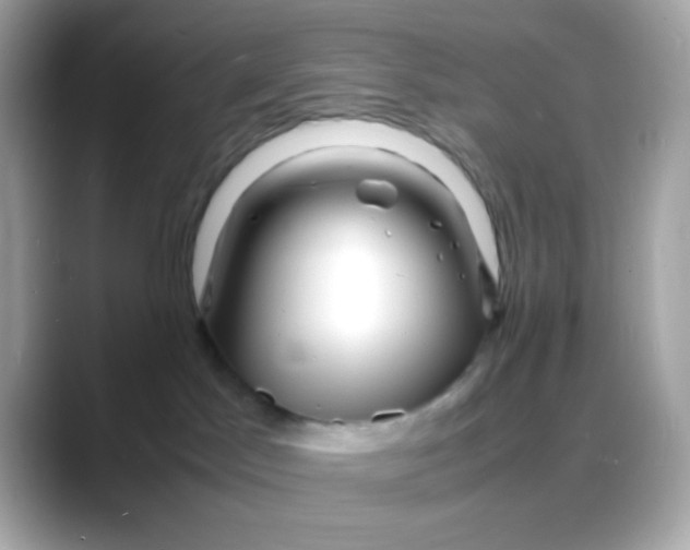 X0000088130045200706041957