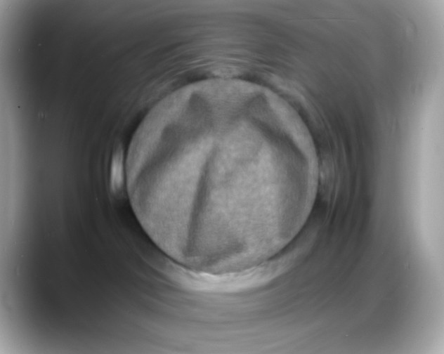 X0000088130046200706041957