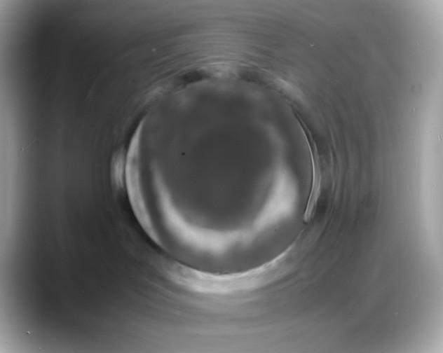 X0000088130047200706041957