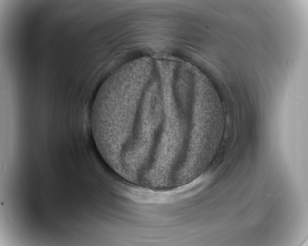 X0000088130048200706041957