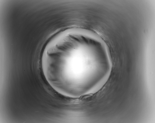 X0000088130050200706041957