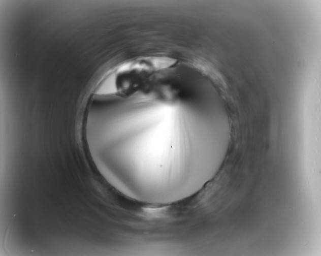 X0000088130051200706041957