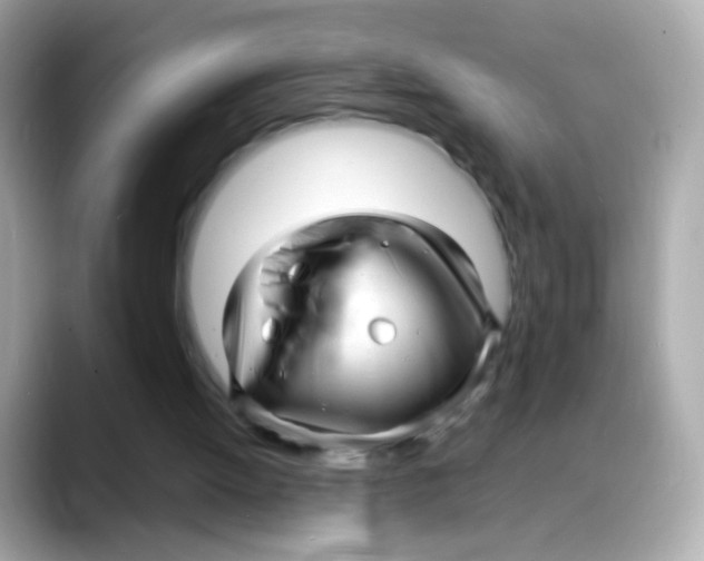 X0000088130052200706041957