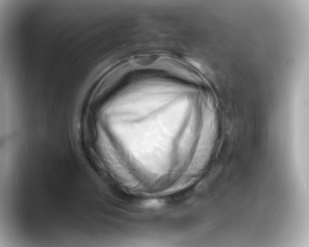 X0000088130053200706041957