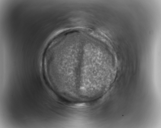 X0000088130054200706041957