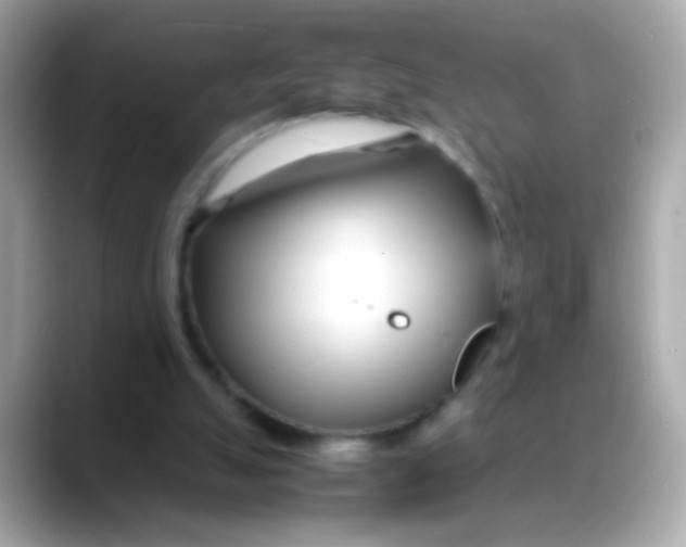 X0000088130055200706041957