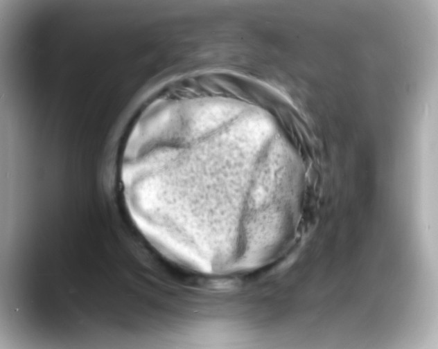 X0000088130056200706041957