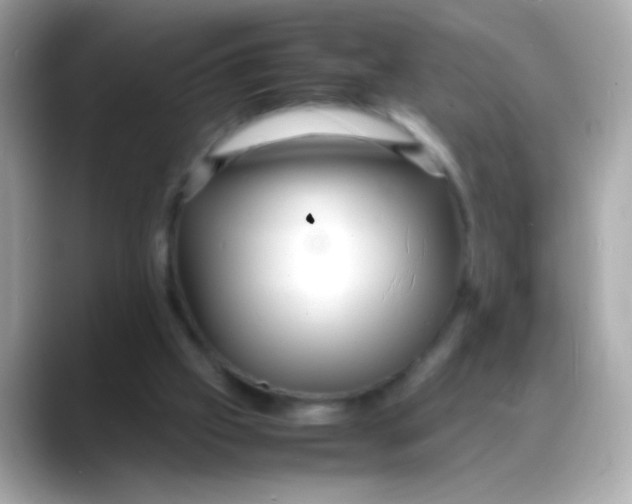 X0000088130057200706041957