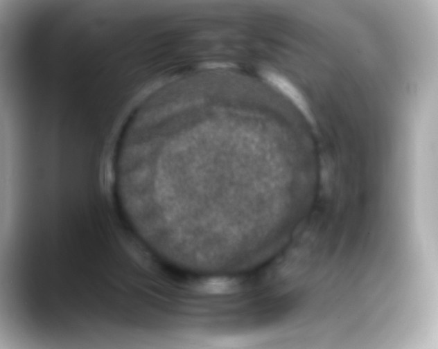 X0000088130059200706041957