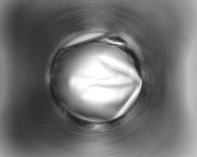 X0000088130060200706041957